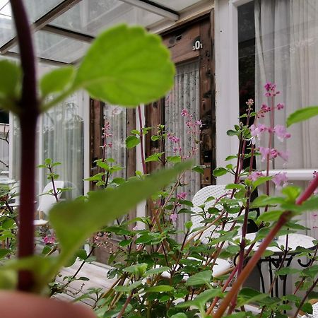 Shenzhen No'6 Garden Villa --French Window With Garden View,Close To Sea World &Shekou Ferry Port &K11 Ecoast &Subway Nearby ,Offer Western Food And Coffee &English Speaking With Tour Services Kültér fotó