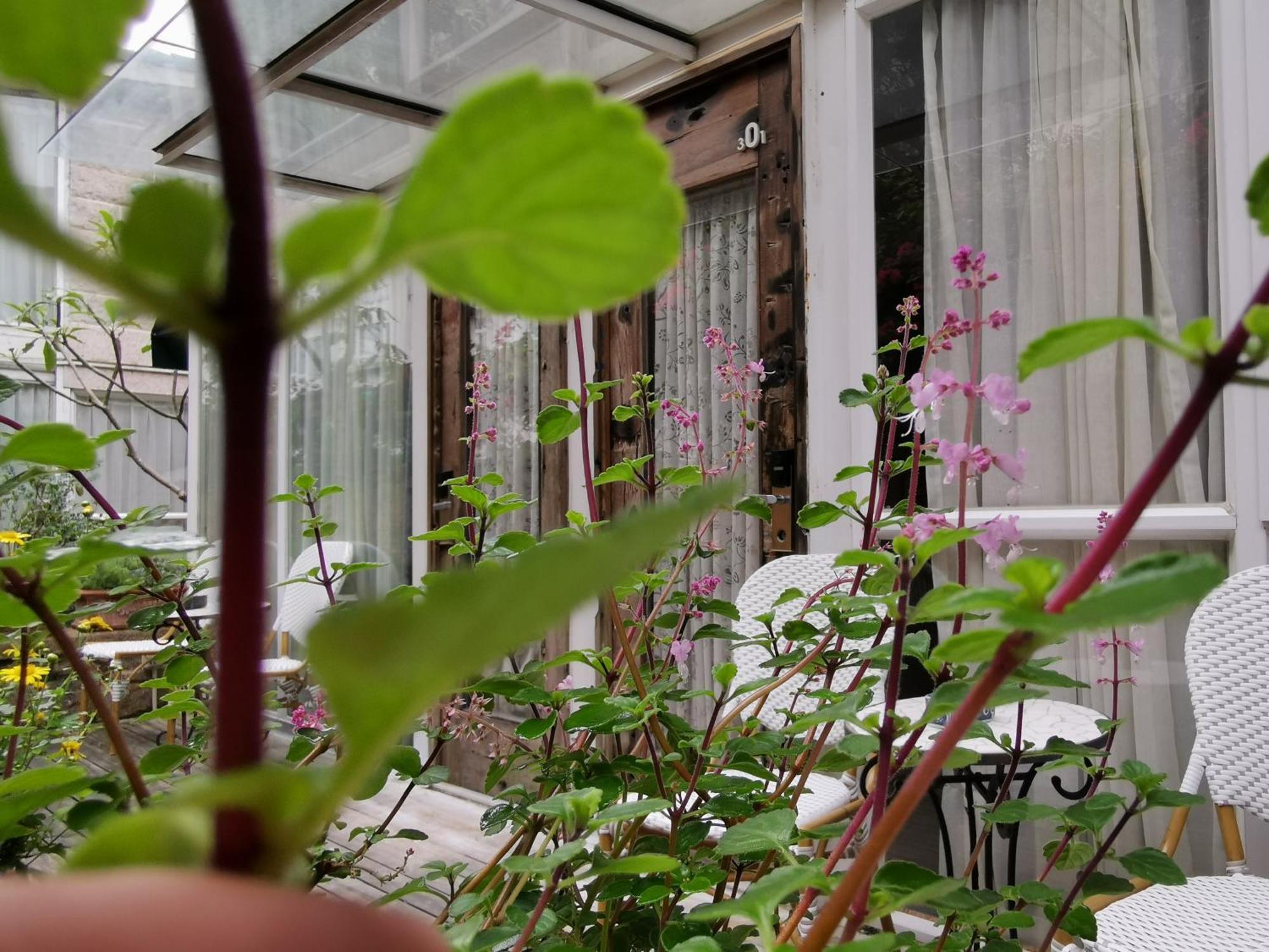 Shenzhen No'6 Garden Villa --French Window With Garden View,Close To Sea World &Shekou Ferry Port &K11 Ecoast &Subway Nearby ,Offer Western Food And Coffee &English Speaking With Tour Services Kültér fotó