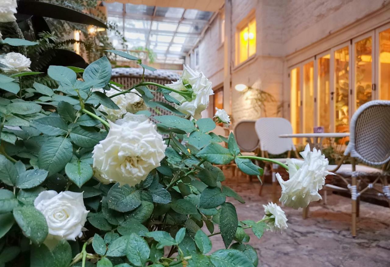 Shenzhen No'6 Garden Villa --French Window With Garden View,Close To Sea World &Shekou Ferry Port &K11 Ecoast &Subway Nearby ,Offer Western Food And Coffee &English Speaking With Tour Services Kültér fotó